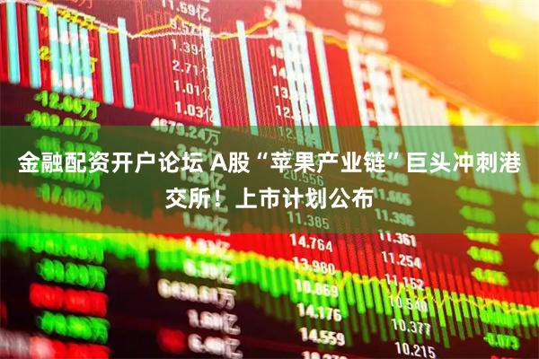 金融配资开户论坛 A股“苹果产业链”巨头冲刺港交所！上市计划公布
