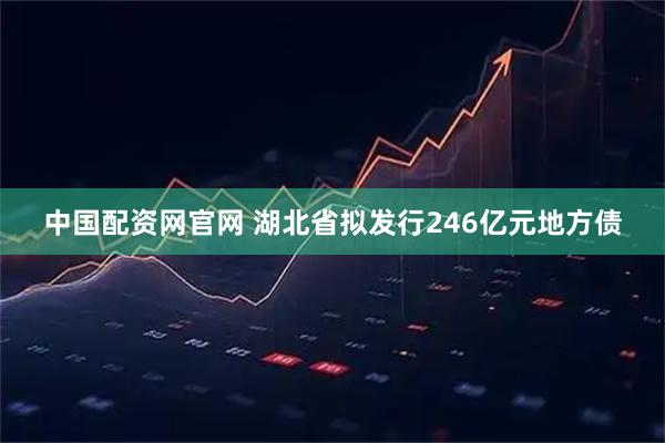 中国配资网官网 湖北省拟发行246亿元地方债